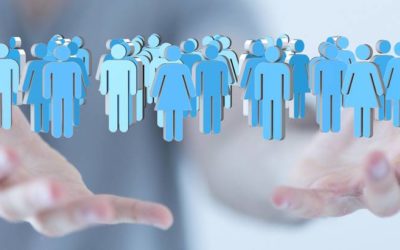 La mise en place du premier annuaire des professionnels sur le territoire !