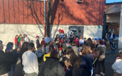 Spectacle de Noël des écoles de la 3CVA